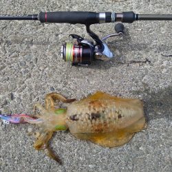 季節外れの寒さ